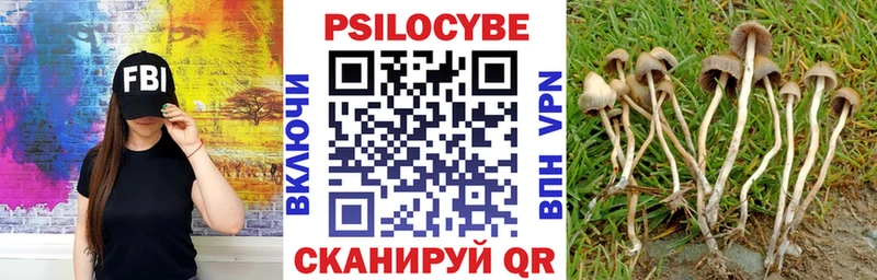 Купить где  Козельск  Галлюциногенные грибы прущие грибы 